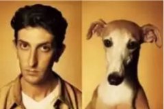 對于狗狗的這些秘密，您知道多少？