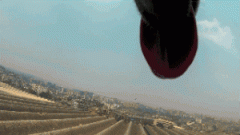 請(qǐng)你放過(guò)狗狗，不愛(ài)，但請(qǐng)別傷害！