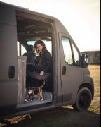 流浪貓私自闖上車被趕出，最后居然搭上順風車